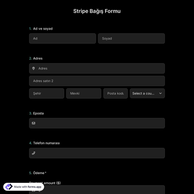 Stripe Bağış Formu Şablonu