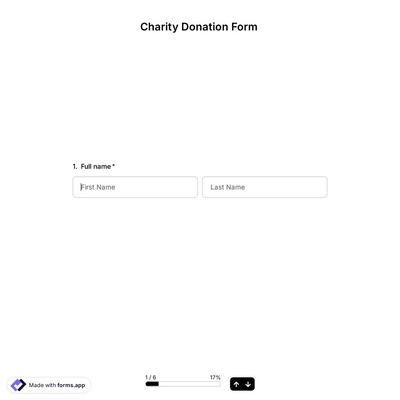 Charity Donation Form Template