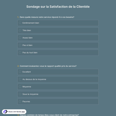 Modèle D'enquête de Satisfaction Client