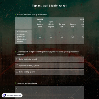 Toplantı Geri Bildirim Anketi Şablonu