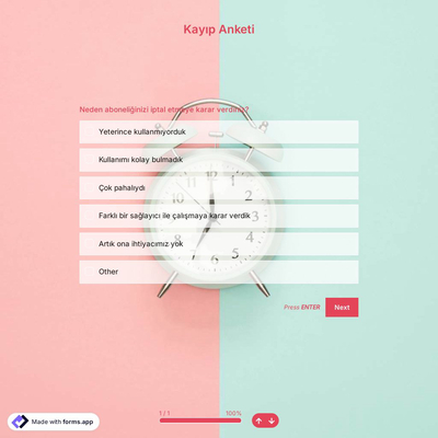 Kayıp Anketi Şablonu