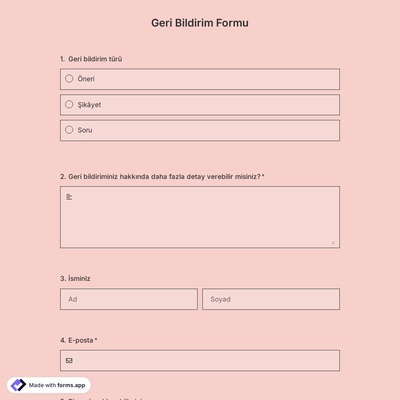 Geri Bildirim Formu Şablonu