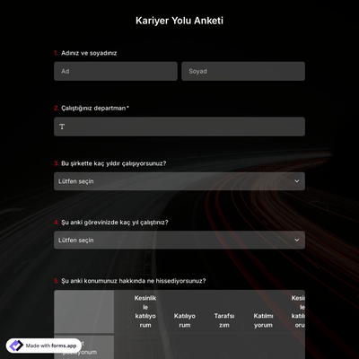 Kariyer Yolu Anket Şablonu