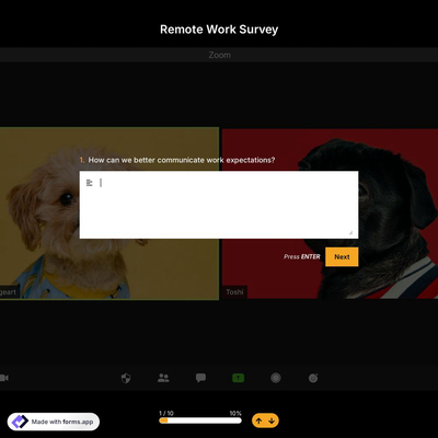 Remote Work Survey
