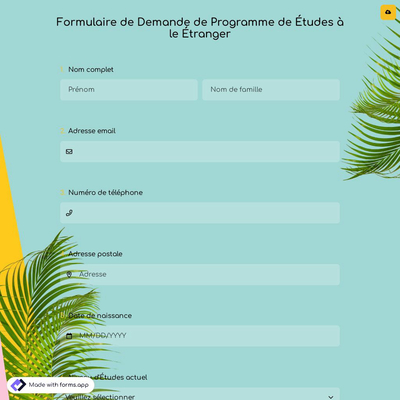 Formulaire de Candidature au Programme D'ete