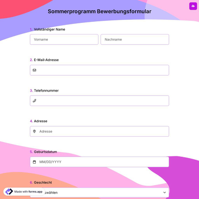 Sommerprogramm Bewerbungsformular