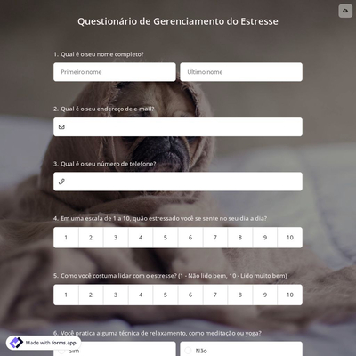 Questionário de Gerenciamento do Estresse