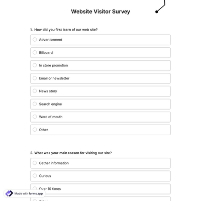 Website Visitor Survey
