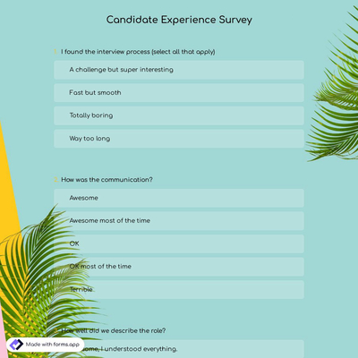 Candidate Experience Survey
