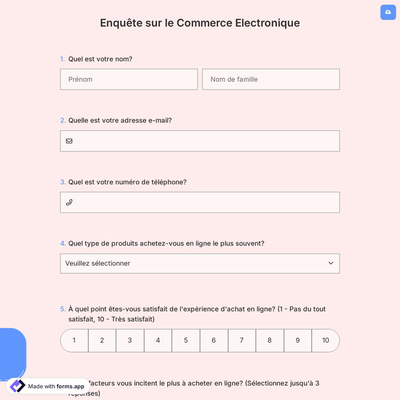 Enquête sur le Commerce Electronique