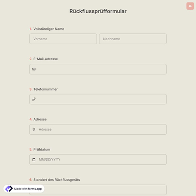 Rückflussprüfformular