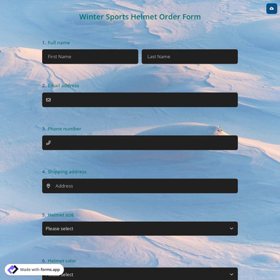 Winter Sports Helmet Order Form