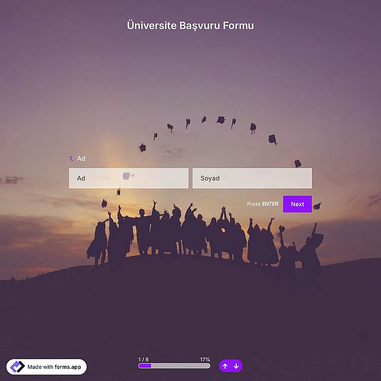 Üniversite Başvuru Formu Şablonu