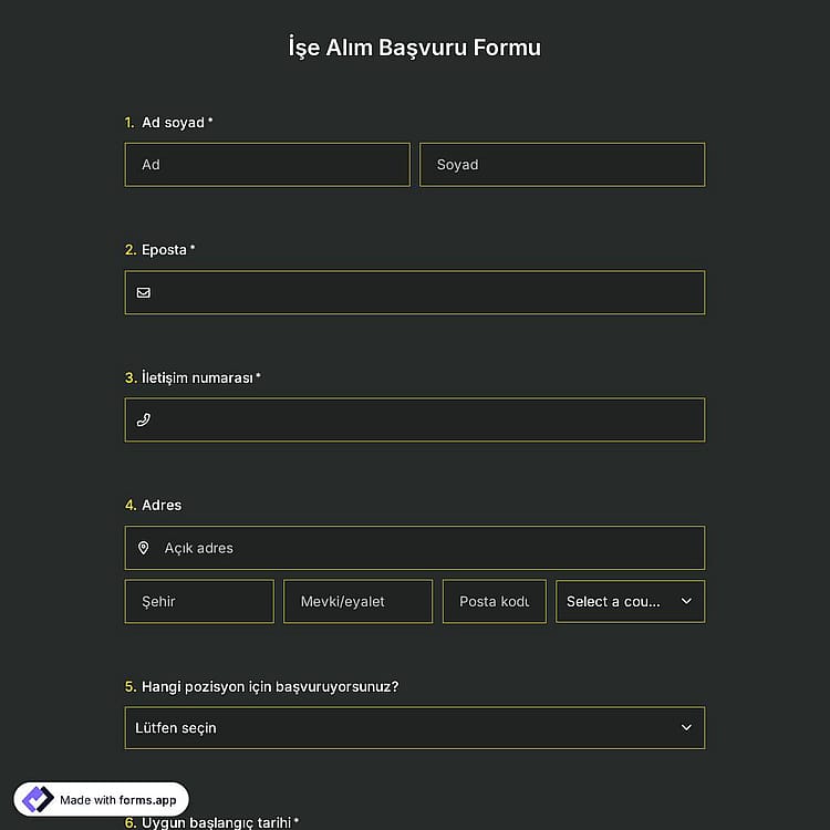 İşe Alım Başvuru Formu Şablonu