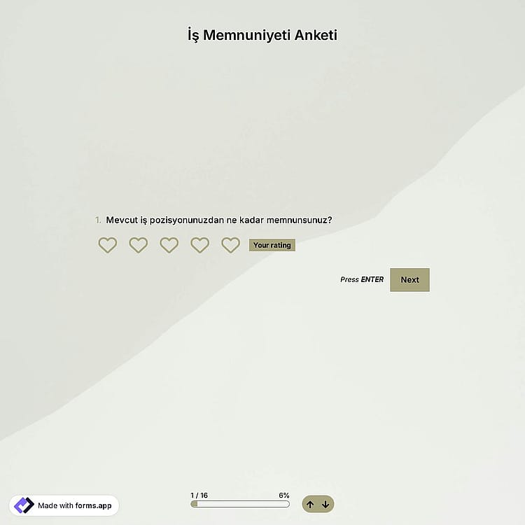 İş Memnuniyeti Anketi Şablonu