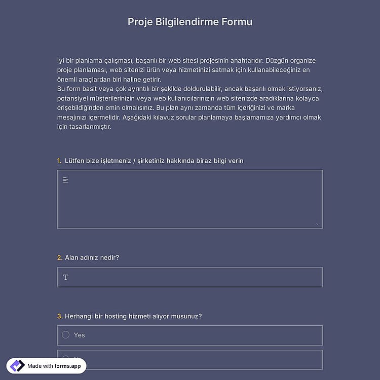 Proje Brief Formu Şablonu