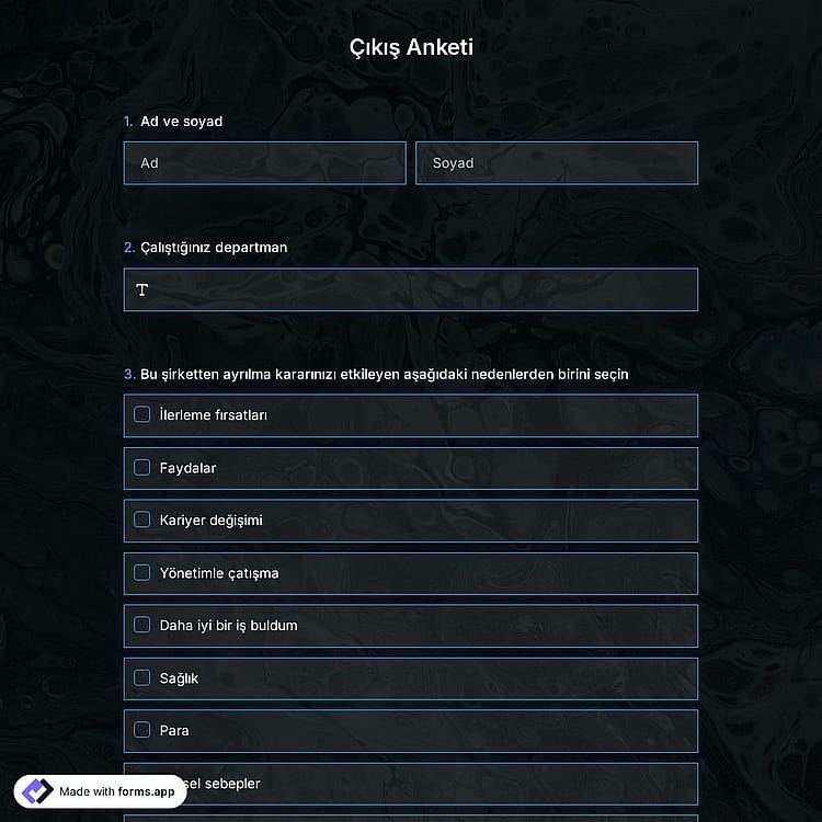 Çıkış Anketi Şablonu
