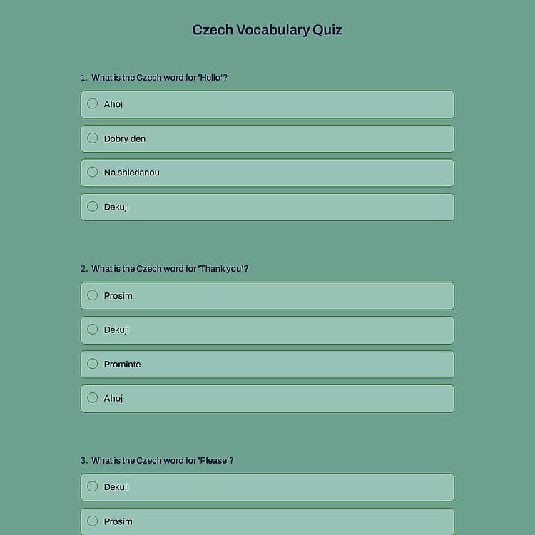 Czech Vocabulary Quiz