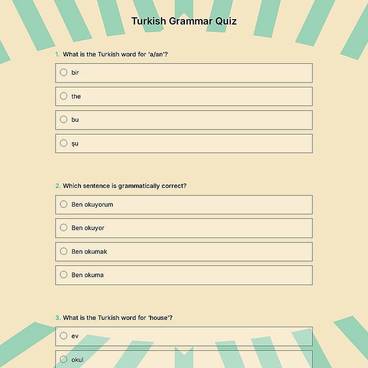 Turkish Grammar Quiz