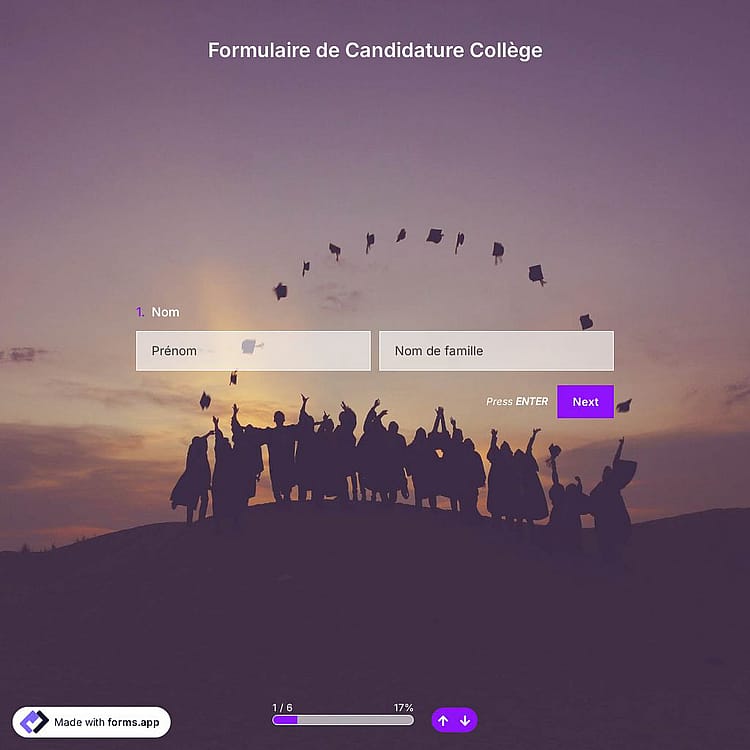 Modèle de Formulaire de Candidature Collège