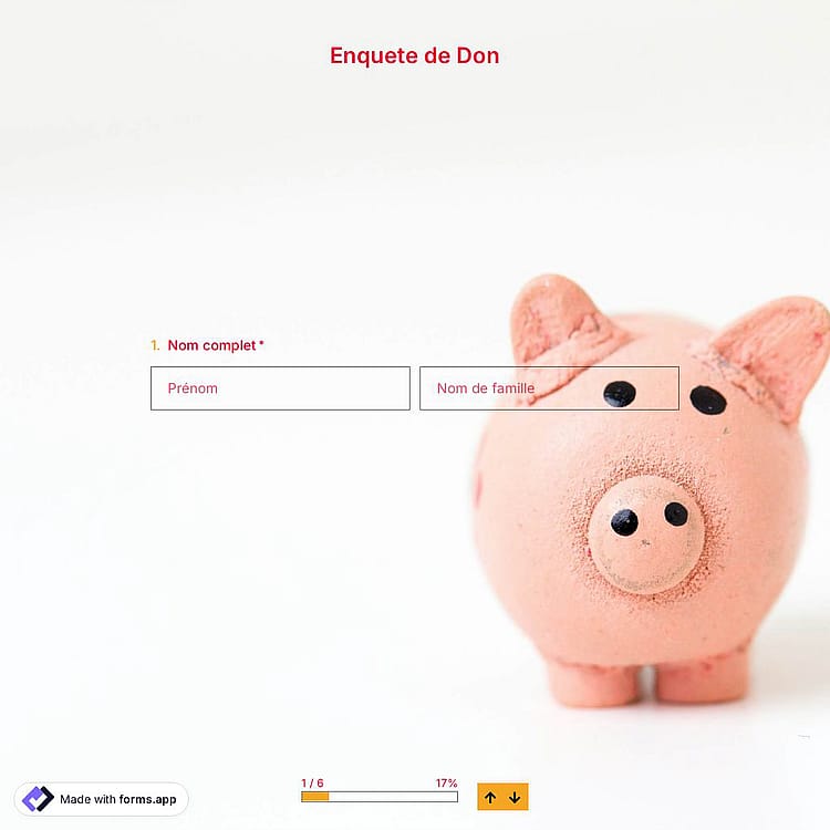 Modèle de Enquete de Don