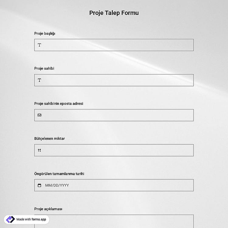 Proje Talep Formu Şablonu