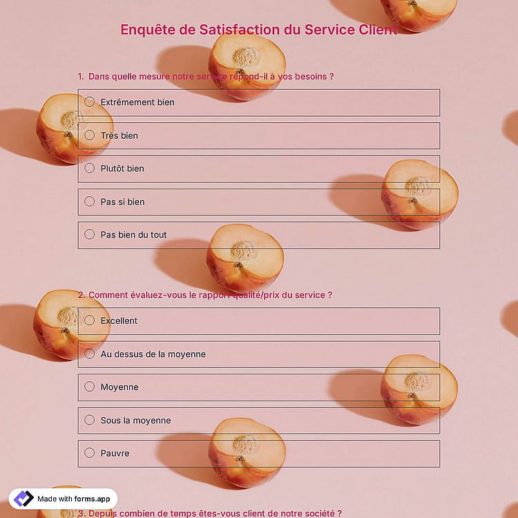 Modèle d'enquête de satisfaction du service client