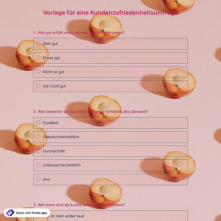 Vorlage für Kundenservice-Zufriedenheitsumfragen