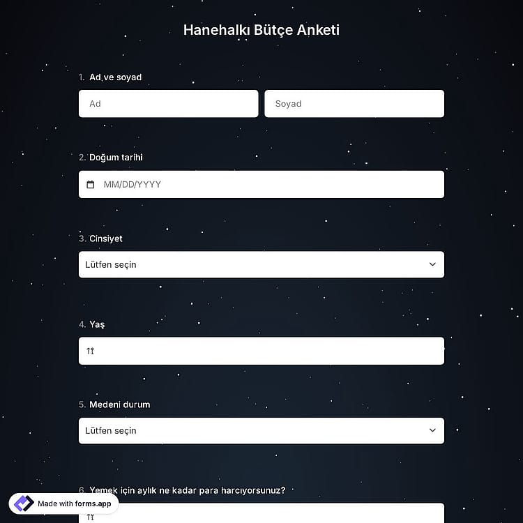 Hanehalkı Bütçe Anketi Şablonu