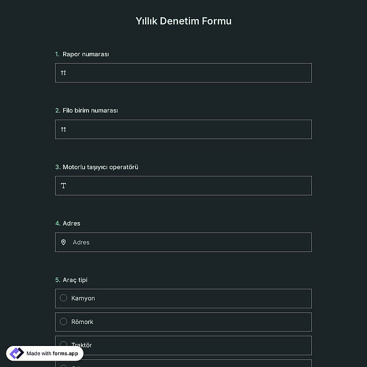 Yıllık Denetim Formu Şablonu