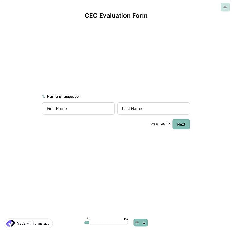 CEO Evaluation Form